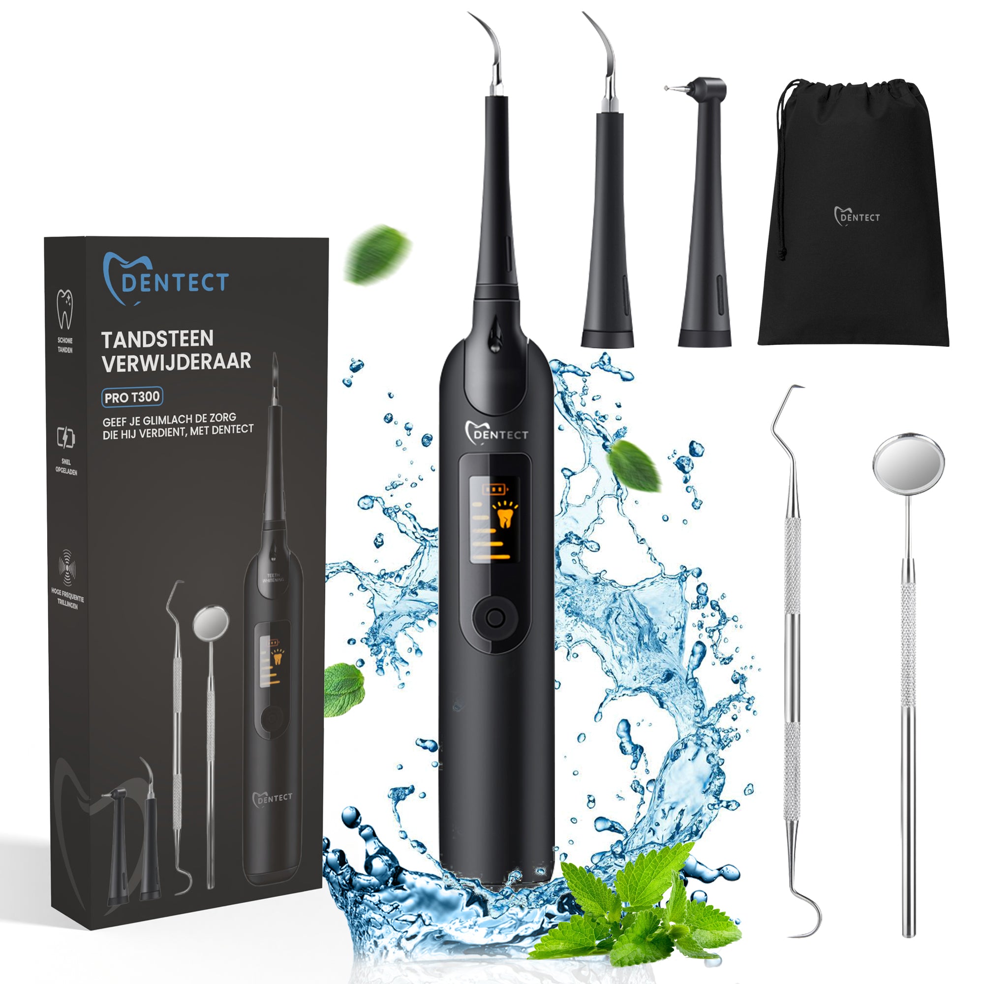Dentect Tandsteenverwijderaar T300