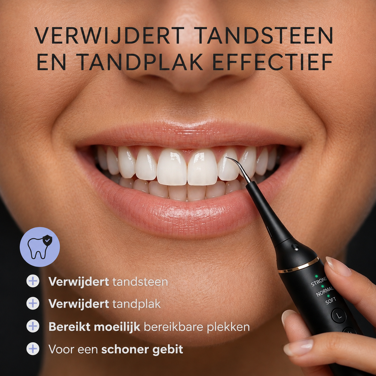 Dentect Tandsteenverwijderaar T200