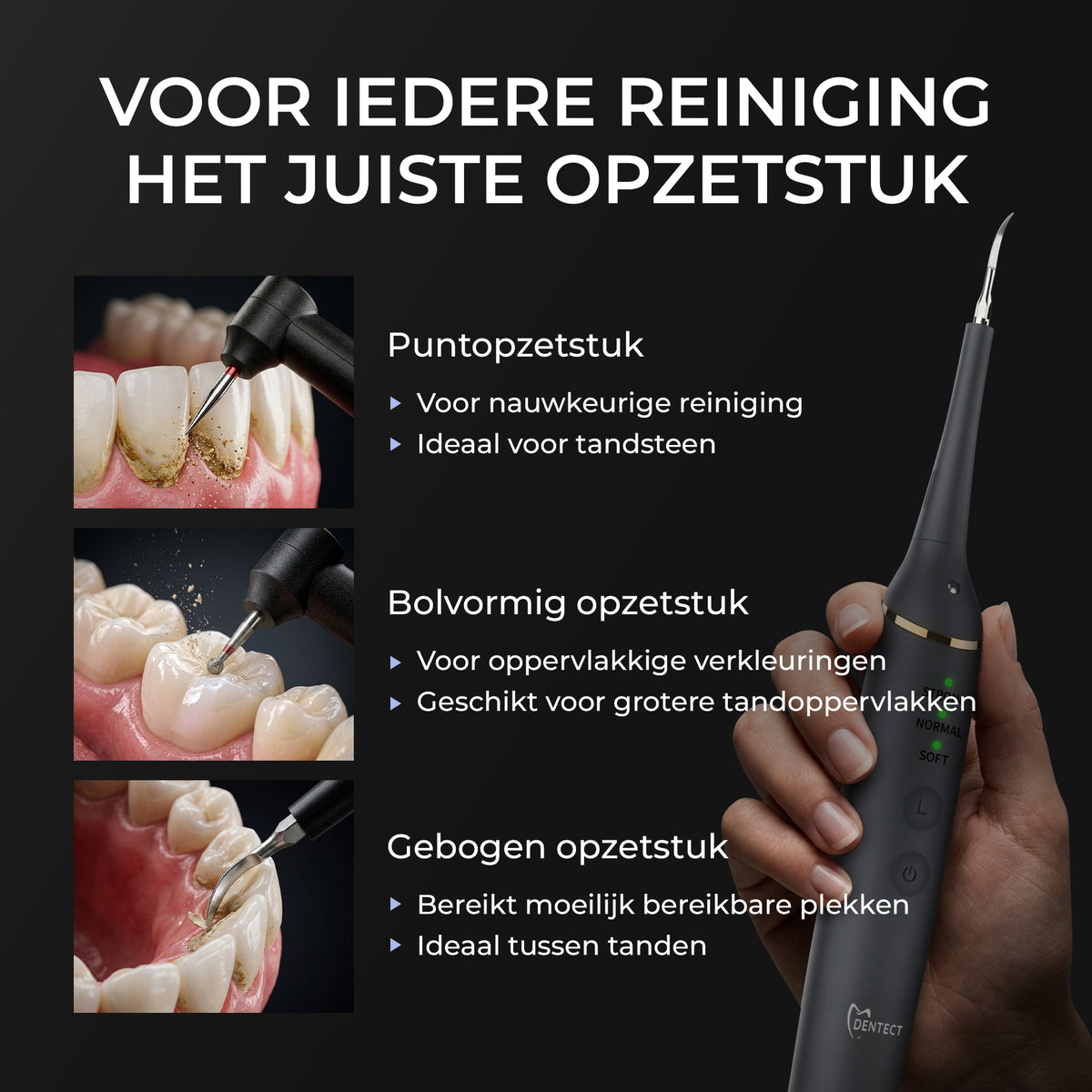 Dentect Tandsteenverwijderaar T200