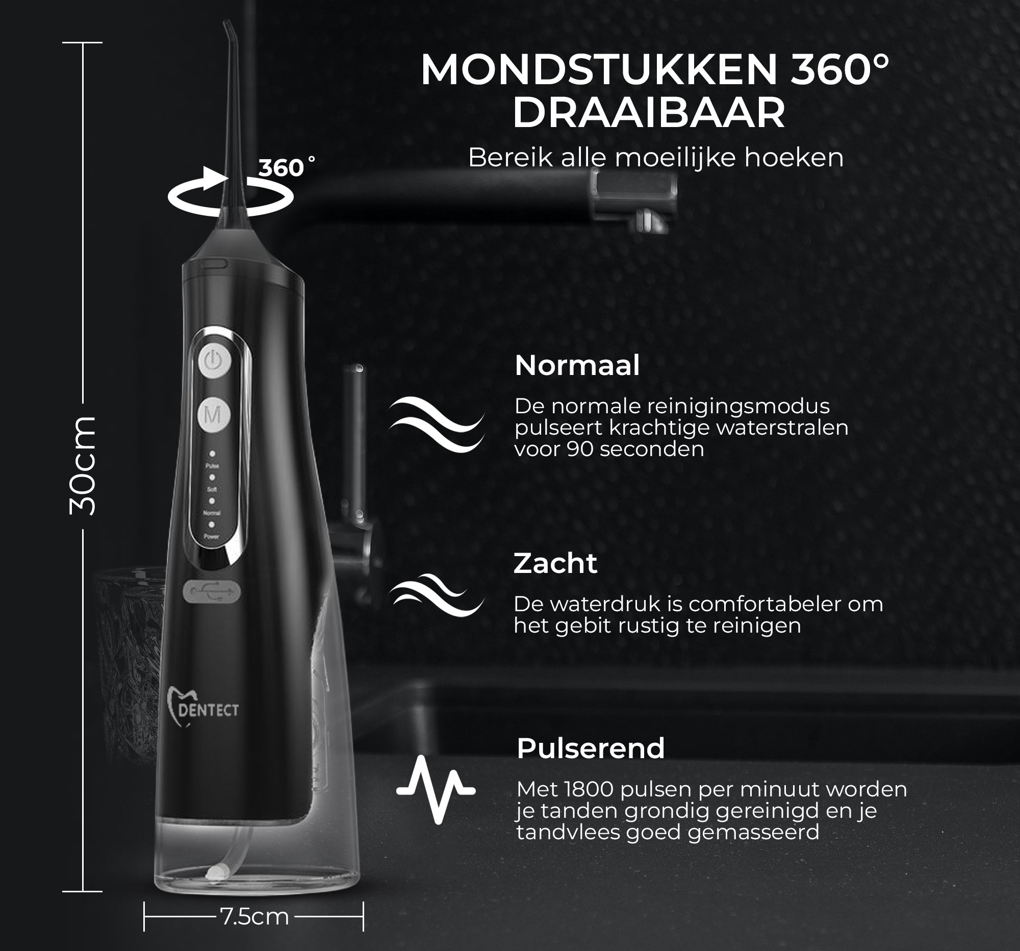 Dentect Waterflosser W300